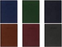 Opakowanie Kalendarz 2023 B5 Dzienny Vivella MIX