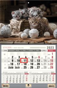 Opakowanie Kalendarz 2023 jednodzielny kotki KTJ-1 V12