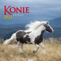 Opakowanie Kalendarz 2023 Ścienny Konie AVANTI