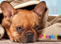 Opakowanie Kalendarz 2023 Ścienny Pieski