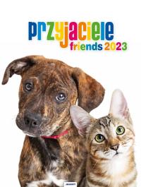 Opakowanie Kalendarz 2023 Ścienny spirala Przyjaciele AVANTI