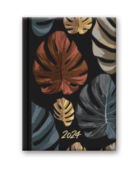 Opakowanie Kalendarz 2024 41DS SOFT B6 MONSTERA