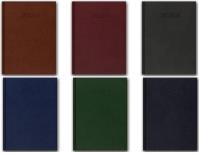 Opakowanie Kalendarz 2024 B5 Dzienny Vivella MIX