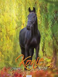 Opakowanie Kalendarz 2024 Ścieny Konie