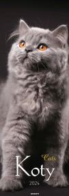 Opakowanie Kalendarz 2024 Ścieny Koty