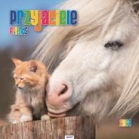 Okładka książki Kalendarz 2024 Ścieny Przyjaciele