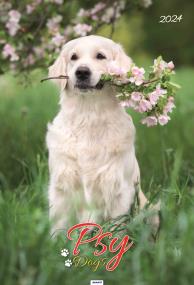 Opakowanie Kalendarz 2024 Ścieny Psy