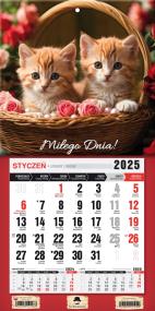 Okładka książki Kalendarz 2025 jednodzielny mini z mag. Kotki