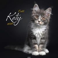 Opakowanie Kalendarz 2025 ścienny Koty