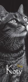 Opakowanie Kalendarz 2025 ścienny paskowy Koty