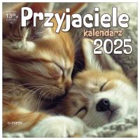 Opakowanie Kalendarz 2025 Ścienny Pzyjaciele