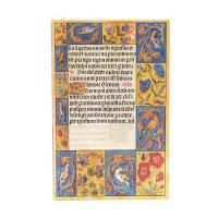Opakowanie Kalendarz Paperblanks 2025 Spinola Hours Maxi tygodniowy HOR