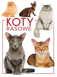 Okładka książki Koty rasowe