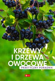 Okładka książki Krzewy i drzewa owocowe. Poradnik praktyczny - uszkodzone