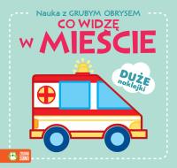 Okładka książki Nauka z grubym obrysem. Co widzę w mieście