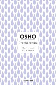 Okładka książki Przebaczenie. Siła wybaczania leży w gniewie
