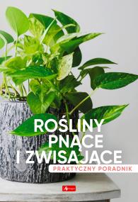 Okładka książki Rośliny pnące i zwisające. Poradnik praktyczny - uszkodzone