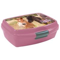 Opakowanie Śniadaniówka Konie 24