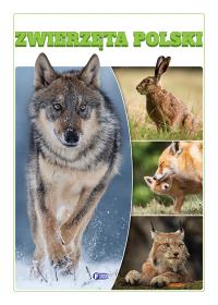 Okładka książki Zwierzęta Polski