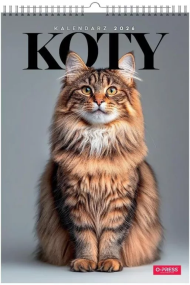 Opakowanie Kalendarz 2026 A3 wieloplanszowy Koty