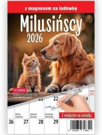 Opakowanie Kalendarz 2026 A5 miesięczny na lodówkę