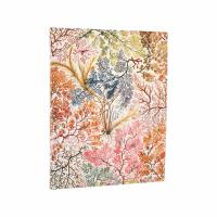 Opakowanie Kalendarz 2026 Anemone tygodniowy BUS Ultra