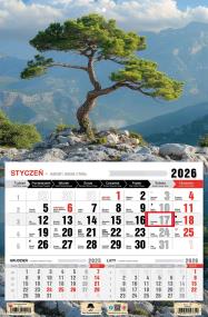 Kalendarz 2026 jednodzielny bonsai. Wydawca: Pan Kalendarzyk. ZdrowePodejscie.pl Opakowanie Kalendarz 2026 jednodzielny bonsai