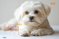 Opakowanie Kalendarz 2026 ścienny albumowy 28,5x20cm Psy