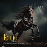 Opakowanie Kalendarz 2026 ścienny albumowy 30x30cm Konie