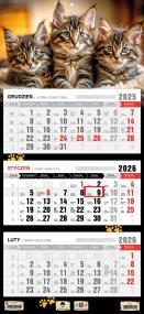 Opakowanie Kalendarz 2026 trójdzielny płaska główka kotki