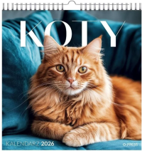 Opakowanie Kalendarz 2026 wieloplanszowy kwadrat Koty