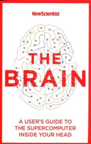 The Brain. Autor: George Alison. ZdrowePodejscie.pl Okładka książki The Brain