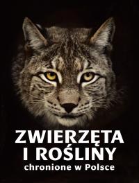 Okładka książki Zwierzęta i rośliny chronione w Polsce