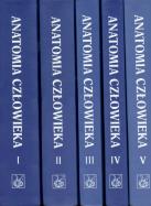 Anatomia człowieka t.1/5. Autor: Bochenek Adam, Reicher Michał. ZdrowePodejscie.pl Okładka książki Anatomia człowieka t.1/5