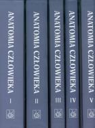Anatomia człowieka t.1/5. Autor: Bochenek Adam, Reicher Michał. ZdrowePodejscie.pl Okładka książki Anatomia człowieka t.1/5