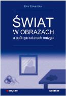 Okładka książki Świat w obrazach u osób po udarach mózgu DIFIN