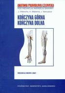 Opakowanie APC Kończyna górna Kończyna dolna