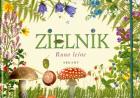 Zielnik. Runo leśne. Autor: Garbarczyk Henryk. ZdrowePodejscie.pl Okładka książki Zielnik. Runo leśne