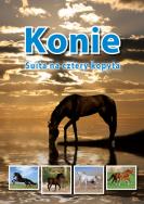 Okładka książki Konie Suita na cztery kopyta