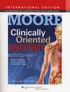 Clinically Oriented Anatomy. Autor: Moore Keith L., Dalley Arthur F., Agur Anne M.R.. ZdrowePodejscie.pl Okładka książki Clinically Oriented Anatomy