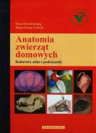 Anatomia zwierząt domowych. Autor: Konig Horst Erich, Liebich Hans-Georg. ZdrowePodejscie.pl Okładka książki Anatomia zwierząt domowych