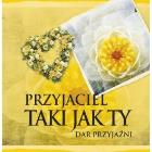 Okładka książki Przyjaciel Taki jak Ty