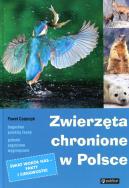 Zwierzęta chronione w Polsce. Autor: Czapczyk Paweł. ZdrowePodejscie.pl Okładka książki Zwierzęta chronione w Polsce