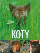 Okładka książki Koty