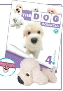 Opakowanie Bichon Frise