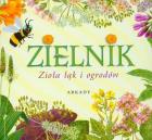 Zielnik. Zioła łąk i ogrodów. Autor: Garbarczyk Henryk. ZdrowePodejscie.pl Okładka książki Zielnik. Zioła łąk i ogrodów