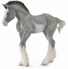 Okładka książki Źrebię Clydesdale Foal Blue Roan