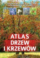 Atlas drzew i krzewów SBM. Autor: Halarewicz Aleksandra. ZdrowePodejscie.pl Okładka książki Atlas drzew i krzewów SBM