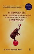Okładka książki Mindfulness Jak wytresować dzikiego słonia i inne przygody w praktyce uważności