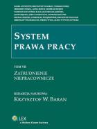 Okładka książki System prawa pracy Tom 7